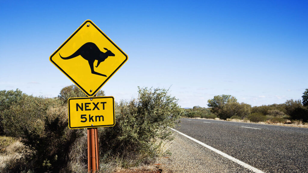 Road In Australia Showing The Signage Of Kangaroos In The Next 5 Kilometres